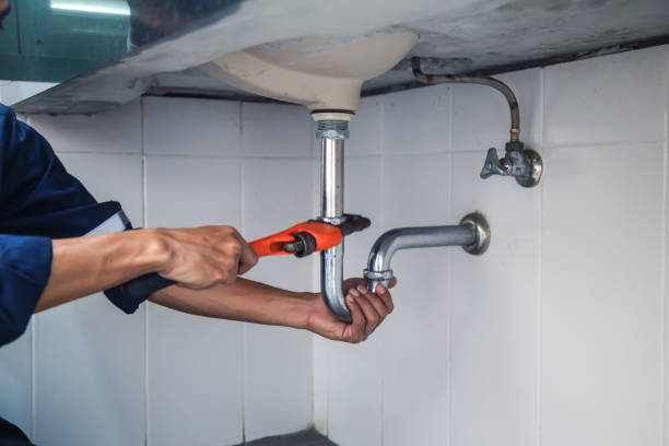 Best Affordable Plumbing Services  in Roscoe, TX